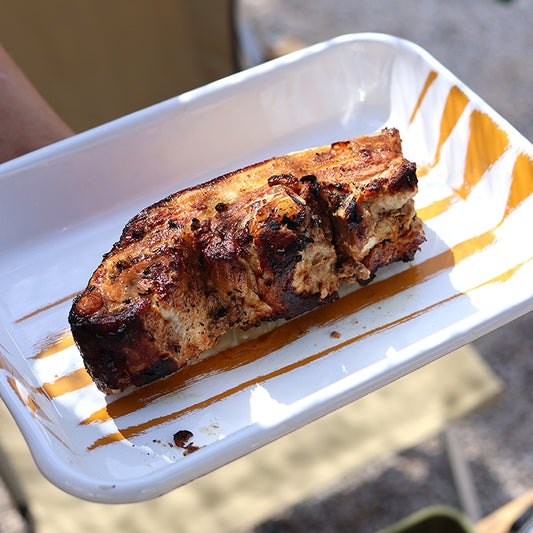 Color Line Enamel Tray Plate - detail view