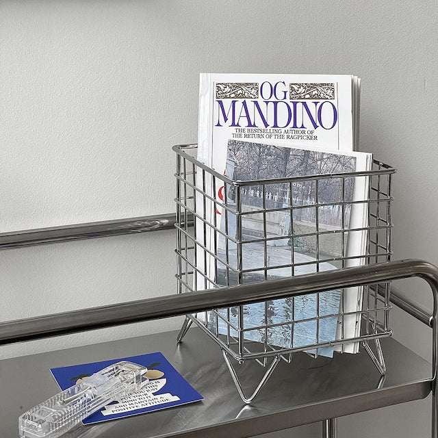 Wire Storage Organizer Basket