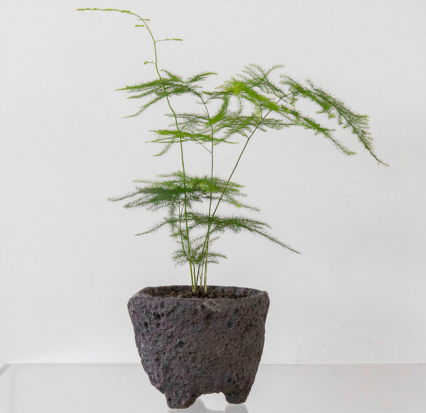 Stone Basalt Vase