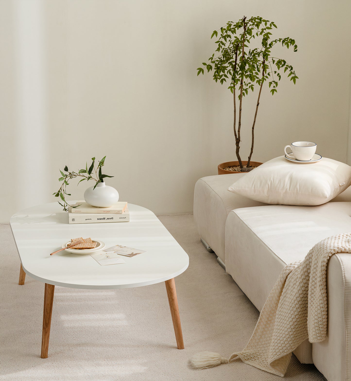 Plain Living Room Coffee Table