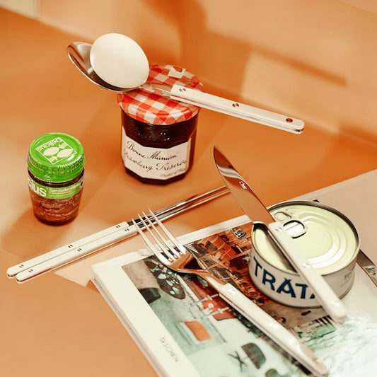 Sierre Farbe Modern Flatware Set for 2