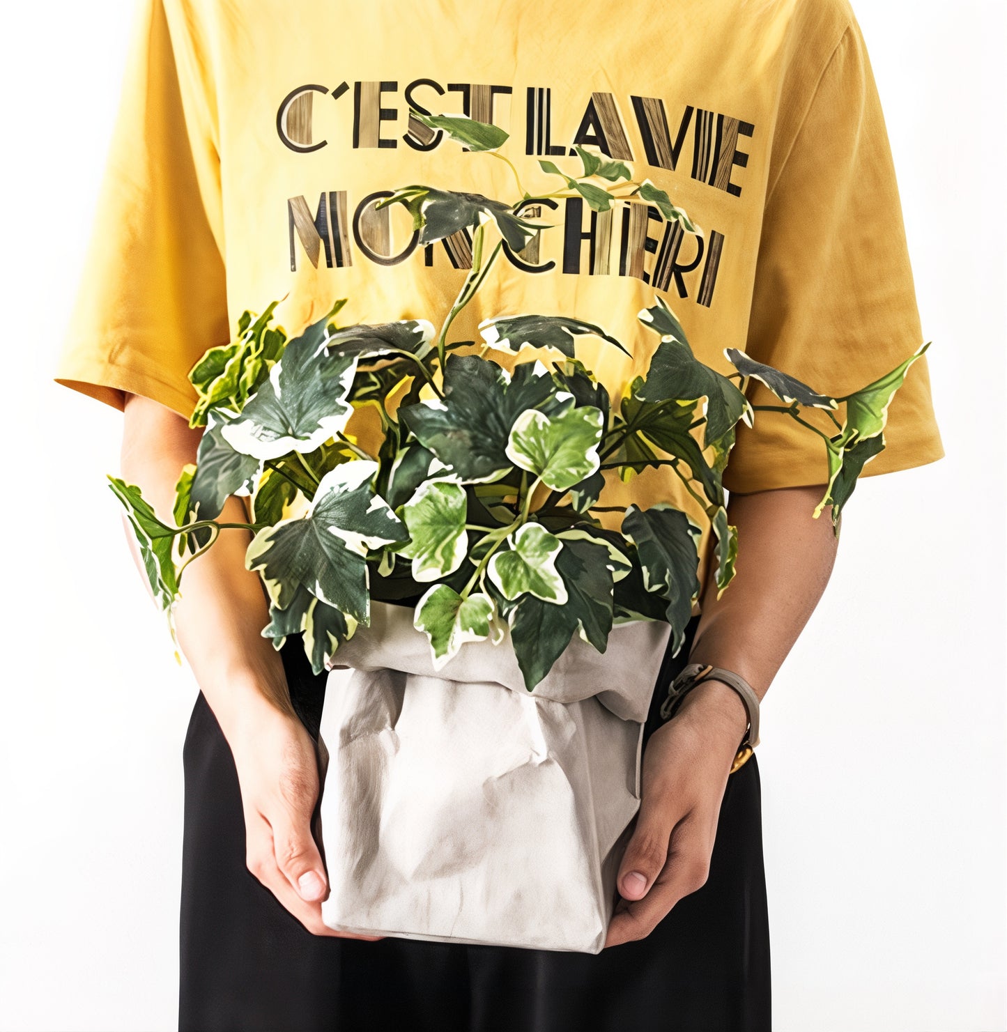 Washable Kraft Paper Planter Cover