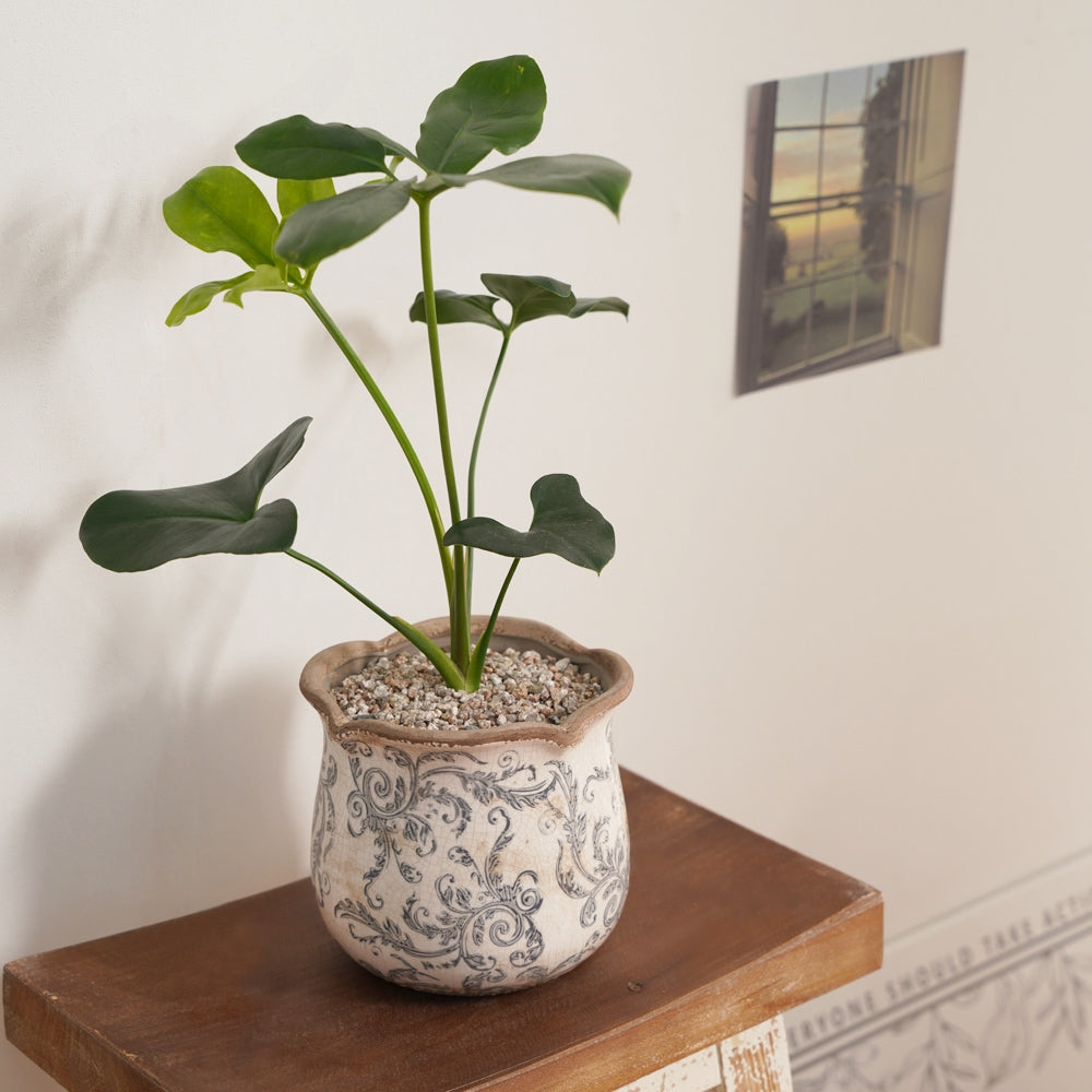 Antique Painted Tulip Flower pot