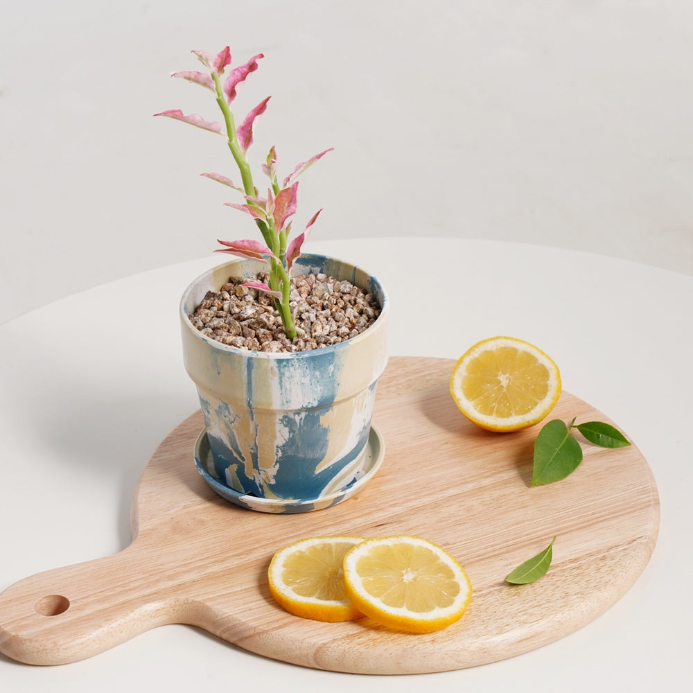 Blue & Yellow Marbled Flowerpot