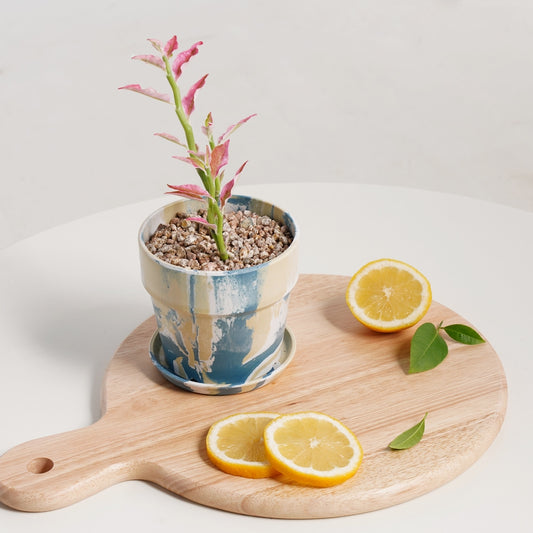 Blue & Yellow Marbled Flowerpot