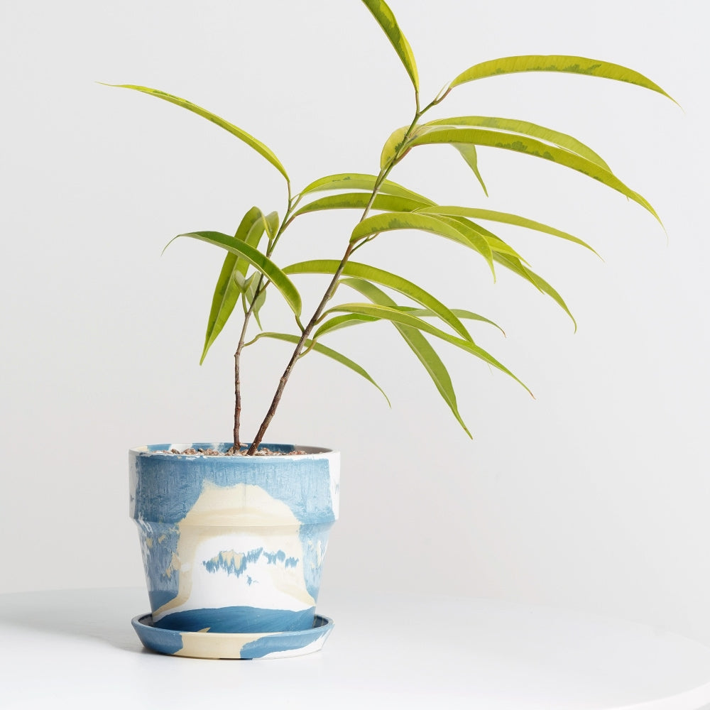 Blue & Yellow Marbled Flowerpot