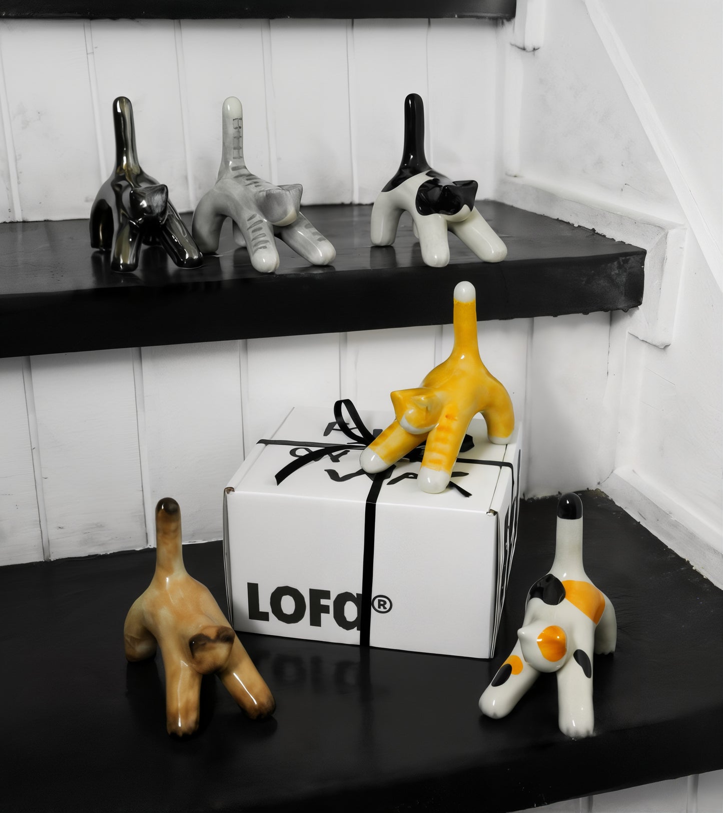 Korean Shorthair Cat Object