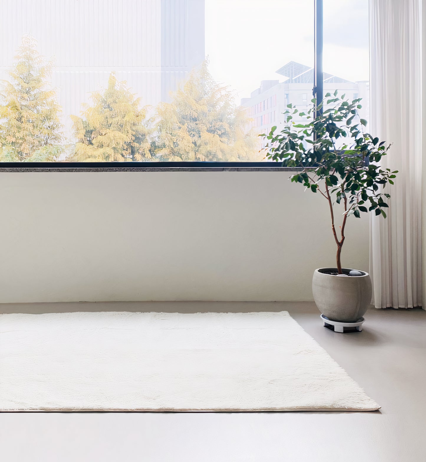 Ultra-Soft Washable Shag Rug