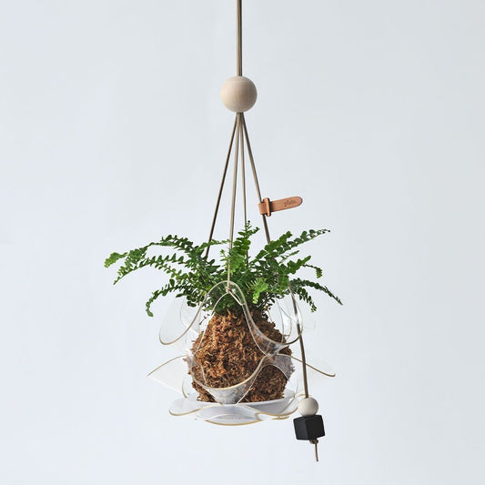 Geometric Plant Hanger