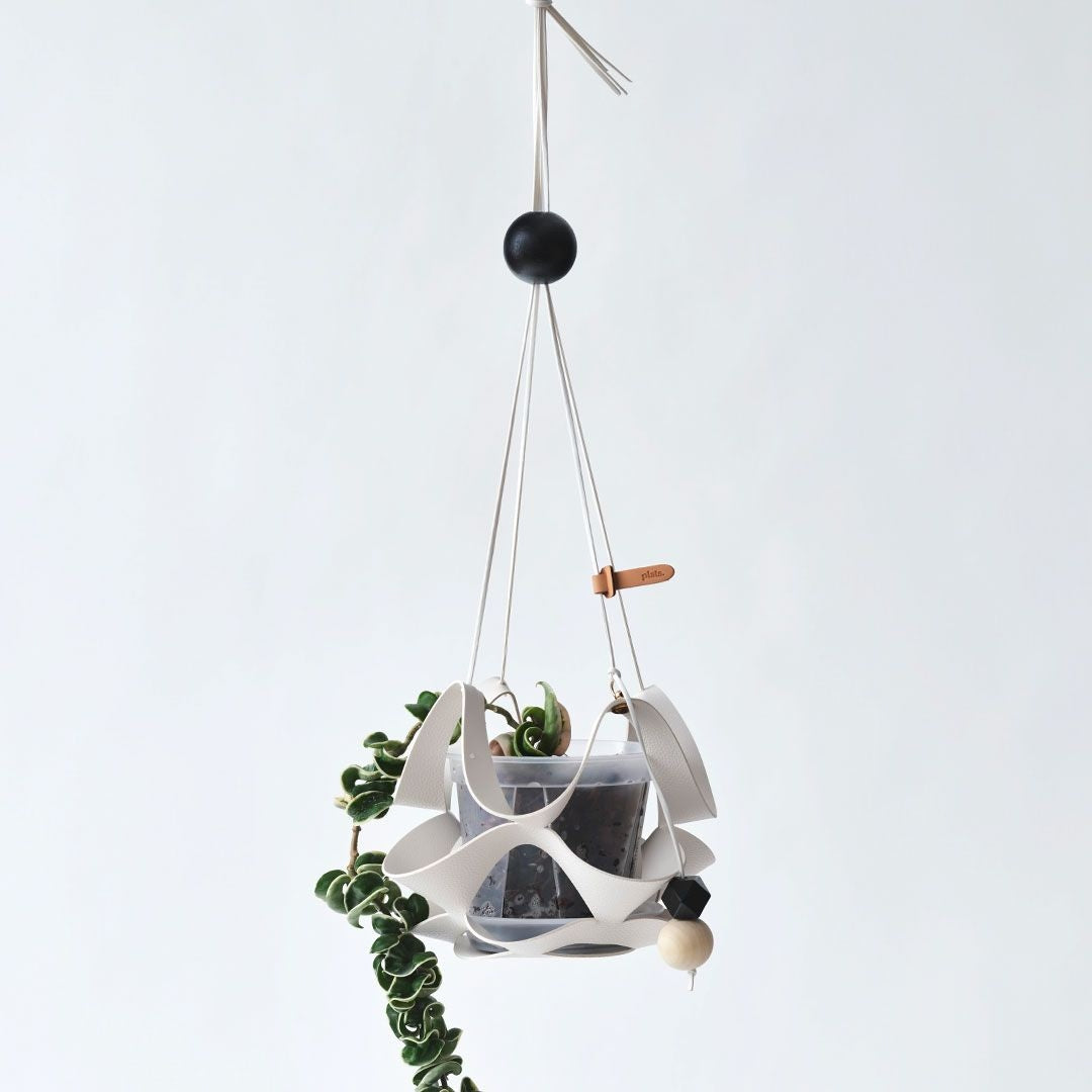 Geometric Plant Hanger