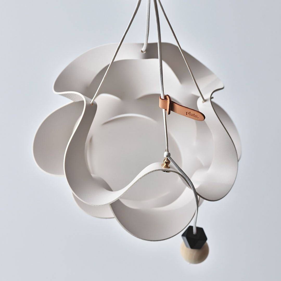 Geometric Plant Hanger