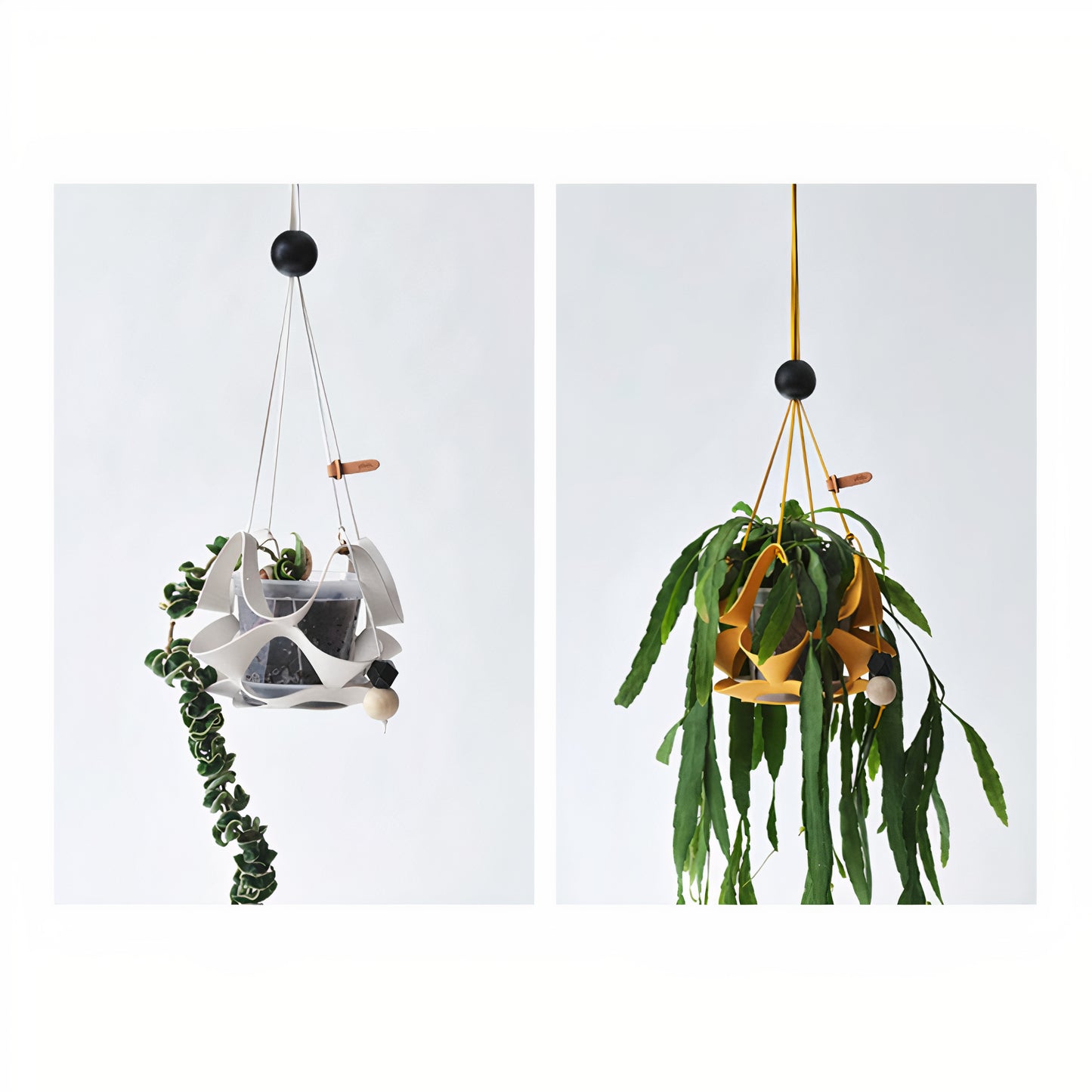 Geometric Plant Hanger