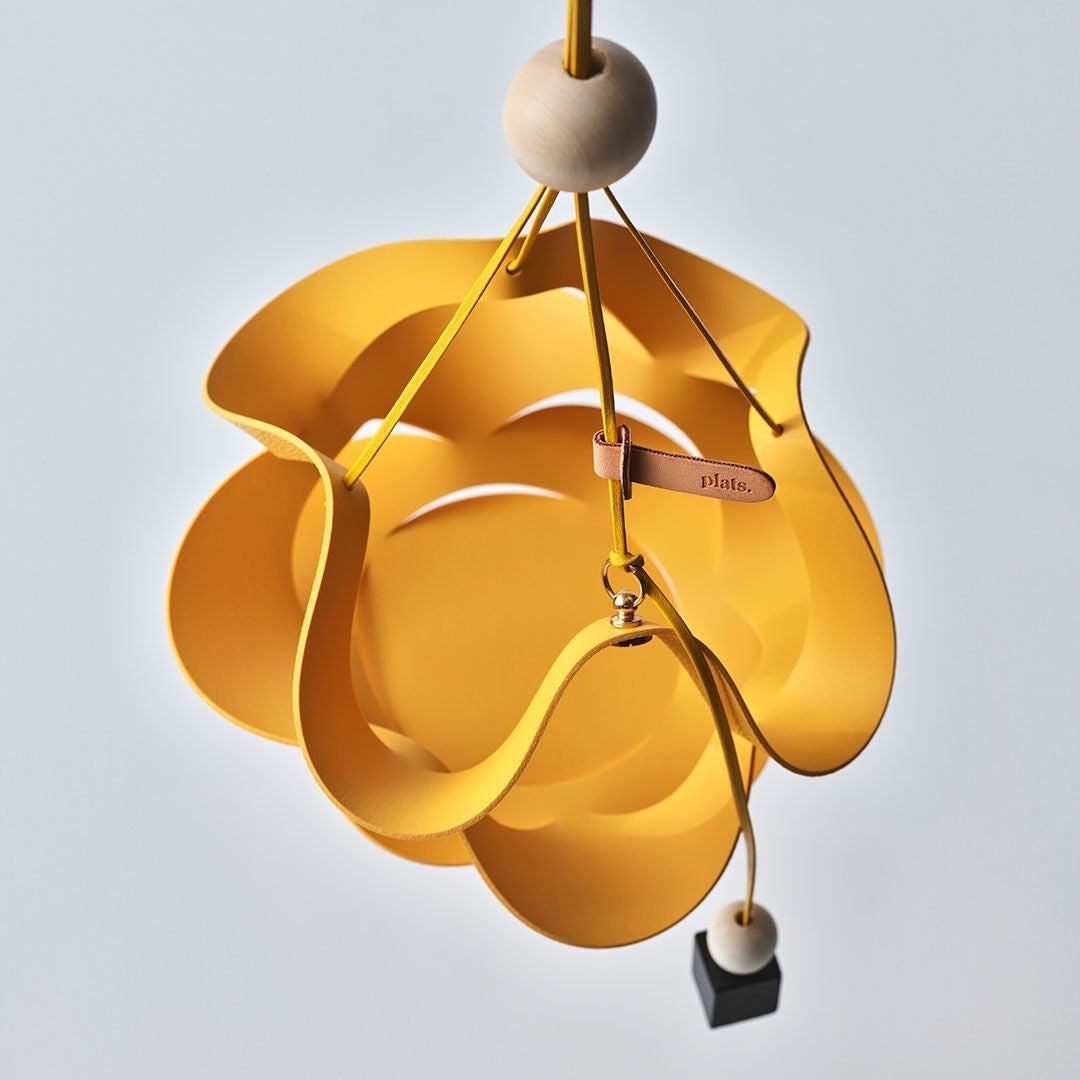 Geometric Plant Hanger