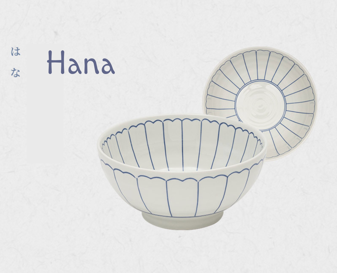 Japanese Noodle Bowl Set of 2
