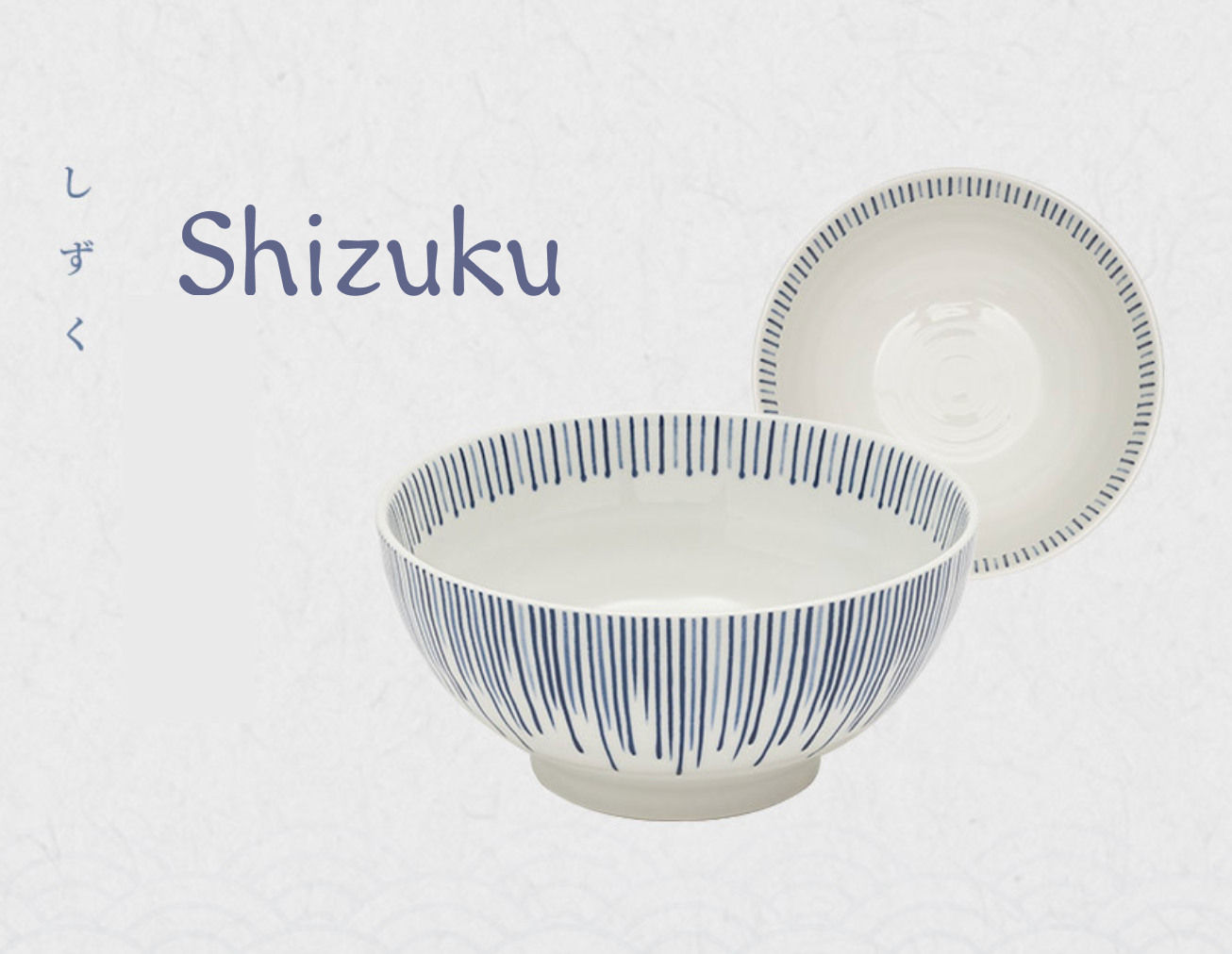 Japanese Noodle Bowl Set of 2