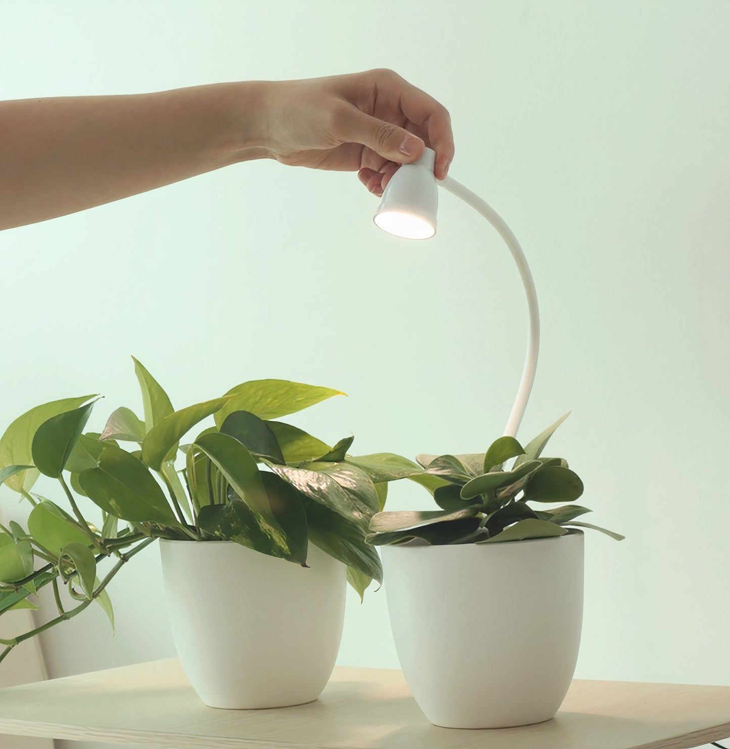 Minimalistic Clamping Desk Lamp