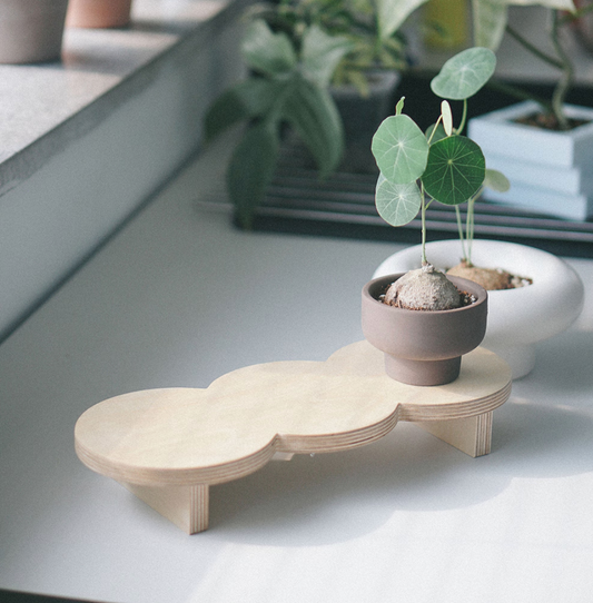 Wooden Peapod Plant Stand