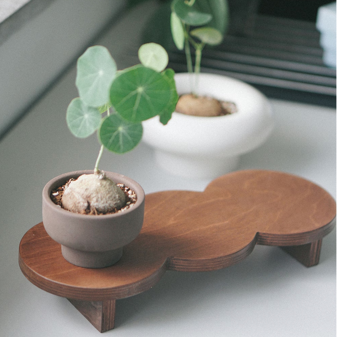 Wooden Peapod Plant Stand