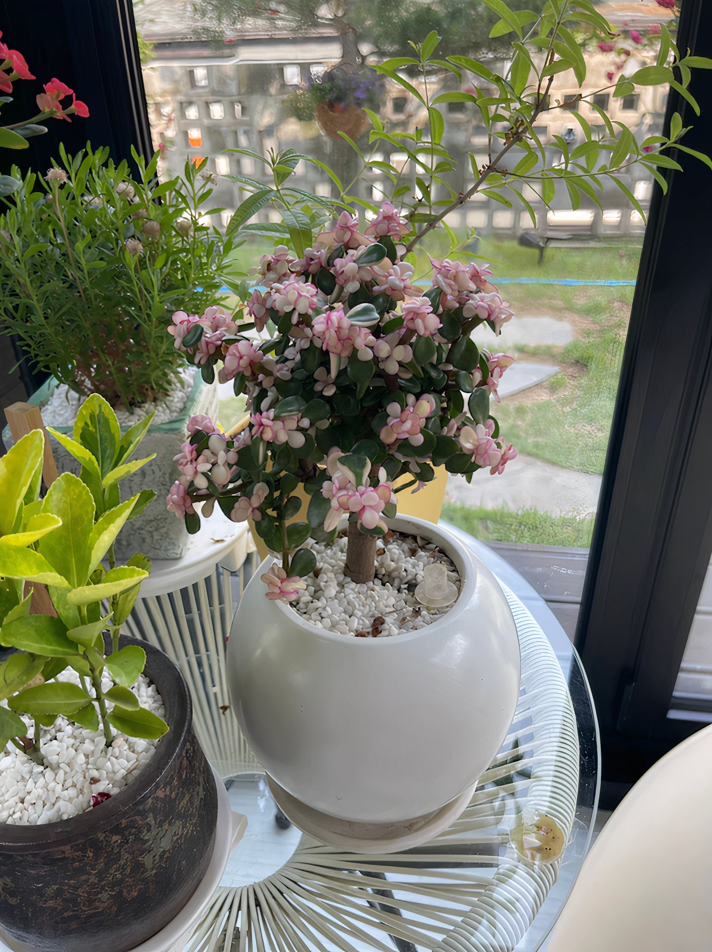 Rounded Moon Vase