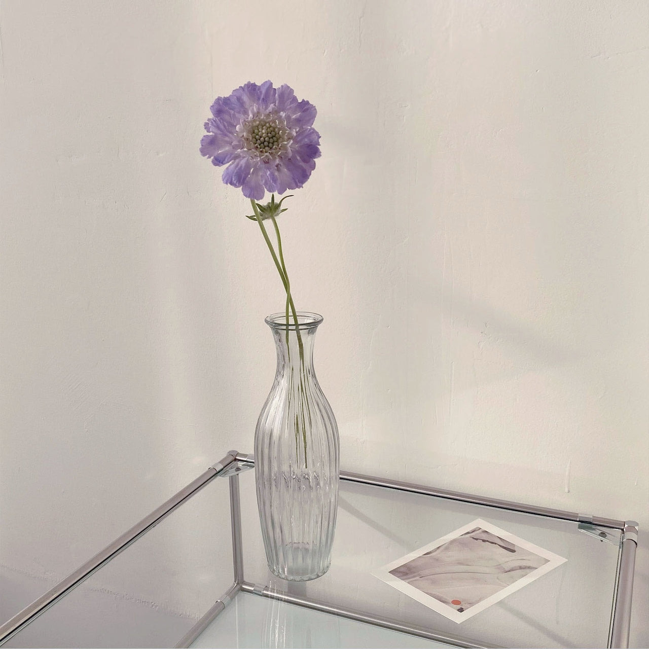 Ribbed Glass Vase