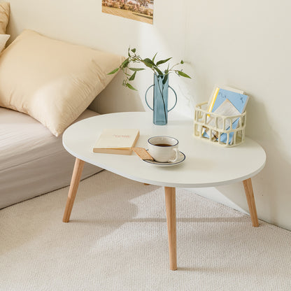 Plain Living Room Coffee Table