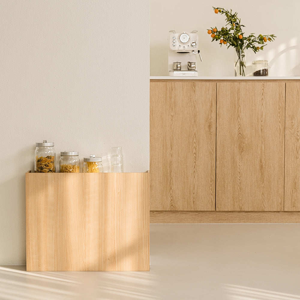 Low Bed Headboard with Concealed Shelf Storage