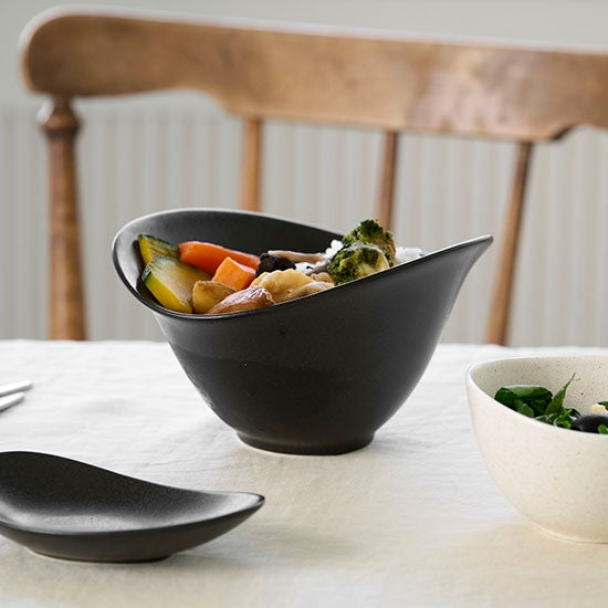 Rocher Ceramic Noodle Bowl & Salad Bowl