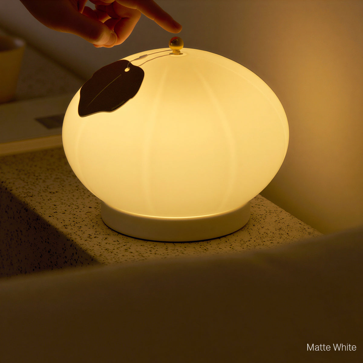 Pumpkin Portable Lamp