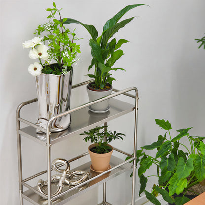304 Stainless Steel Slim Utility Trolley