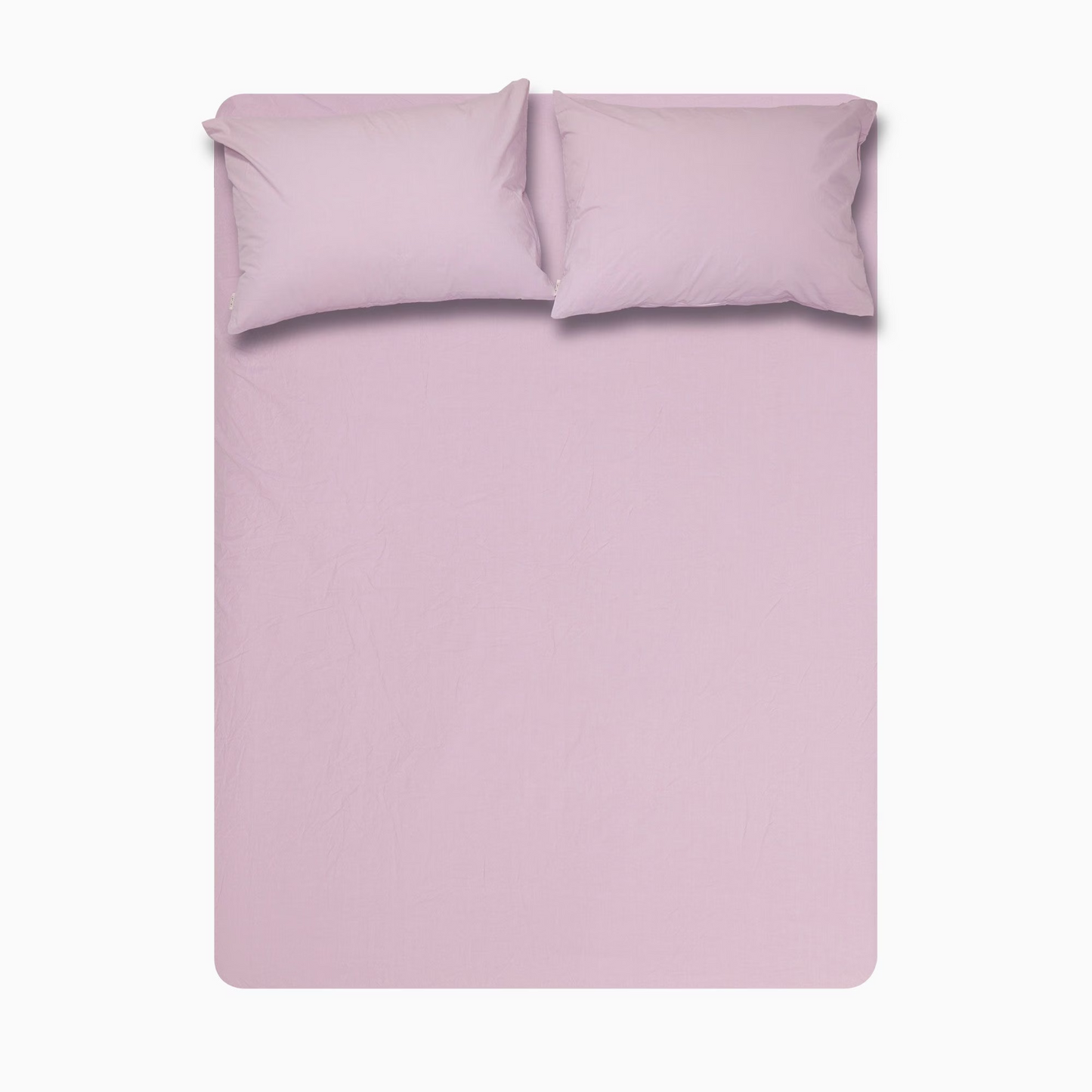 Pure Cotton Basic Fitted Sheet - image 6 of 10