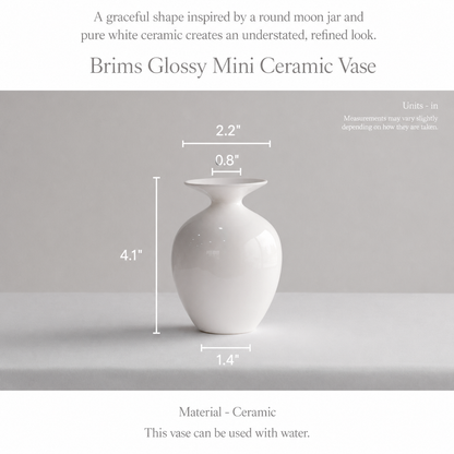 Brims Glossy Mini Ceramic Vase