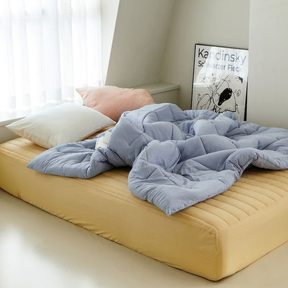 Soft Quilted Butter Mattress Cover