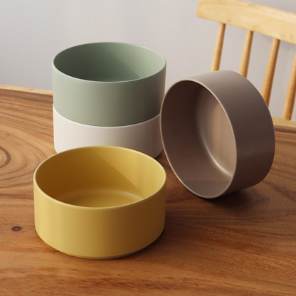 Maison de Palette Noodle & Salad Bowl Set (4-Piece)