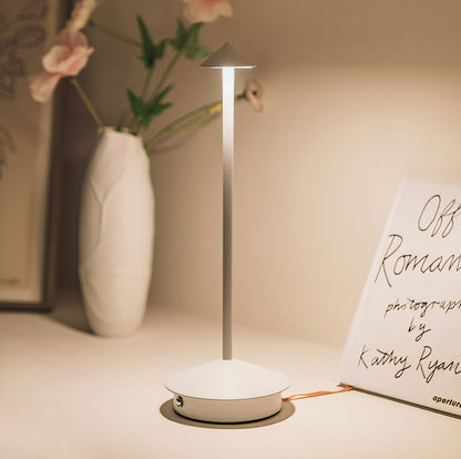 Sleek Modern Desk Lamp