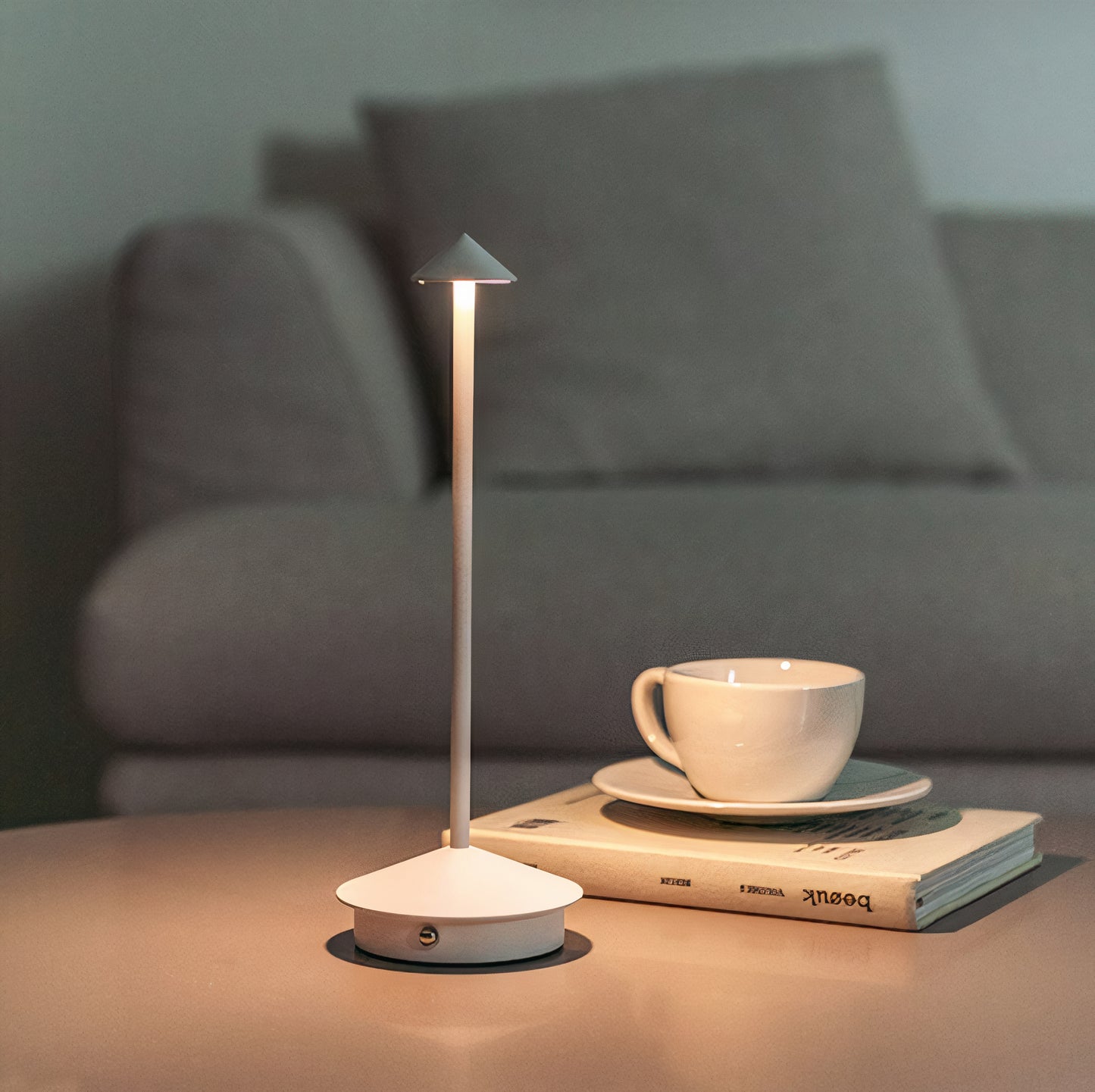 Sleek Modern Desk Lamp