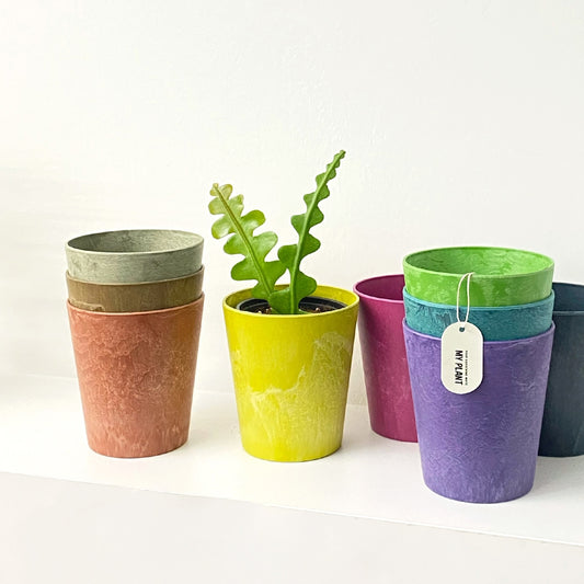 Colorful Textured Planter
