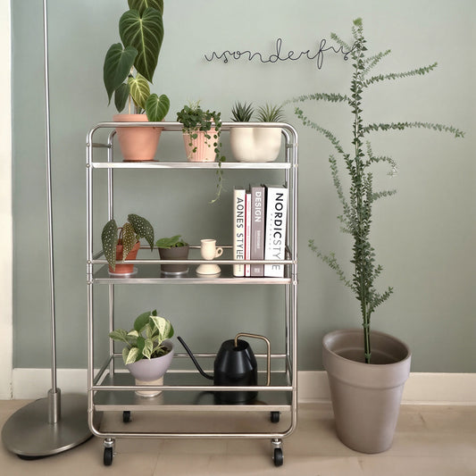 Mid-century Modern Stainless Trolley