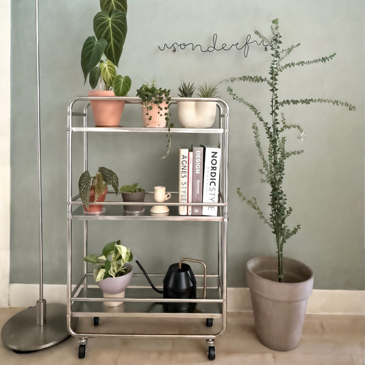 Mid-century Modern Stainless Trolley