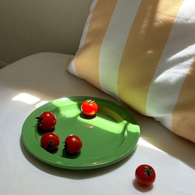 Vivid Color Flat Plate