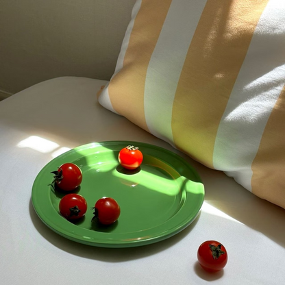 Vivid Color Flat Plate