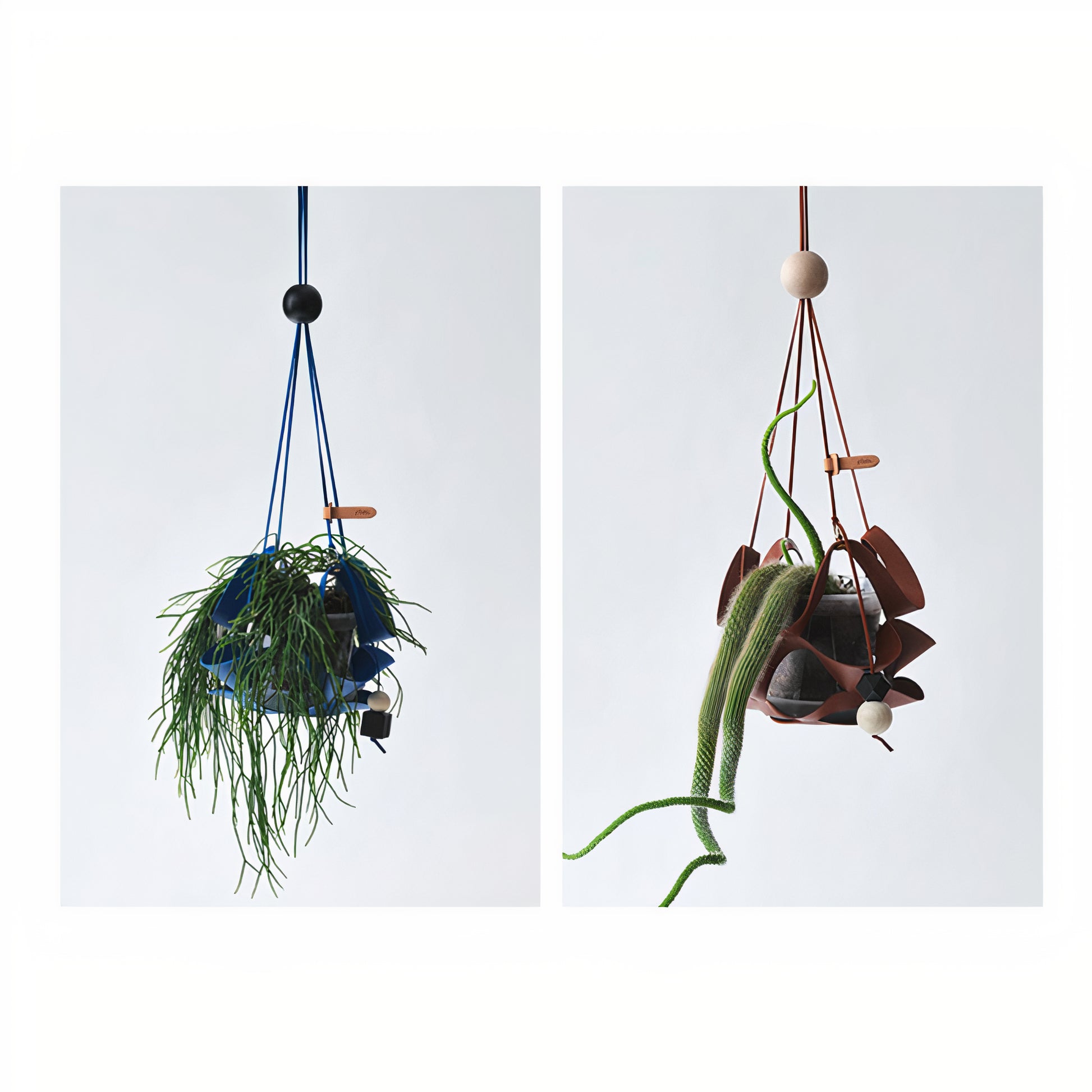 geometric plant hanger Geometric Plant Hanger