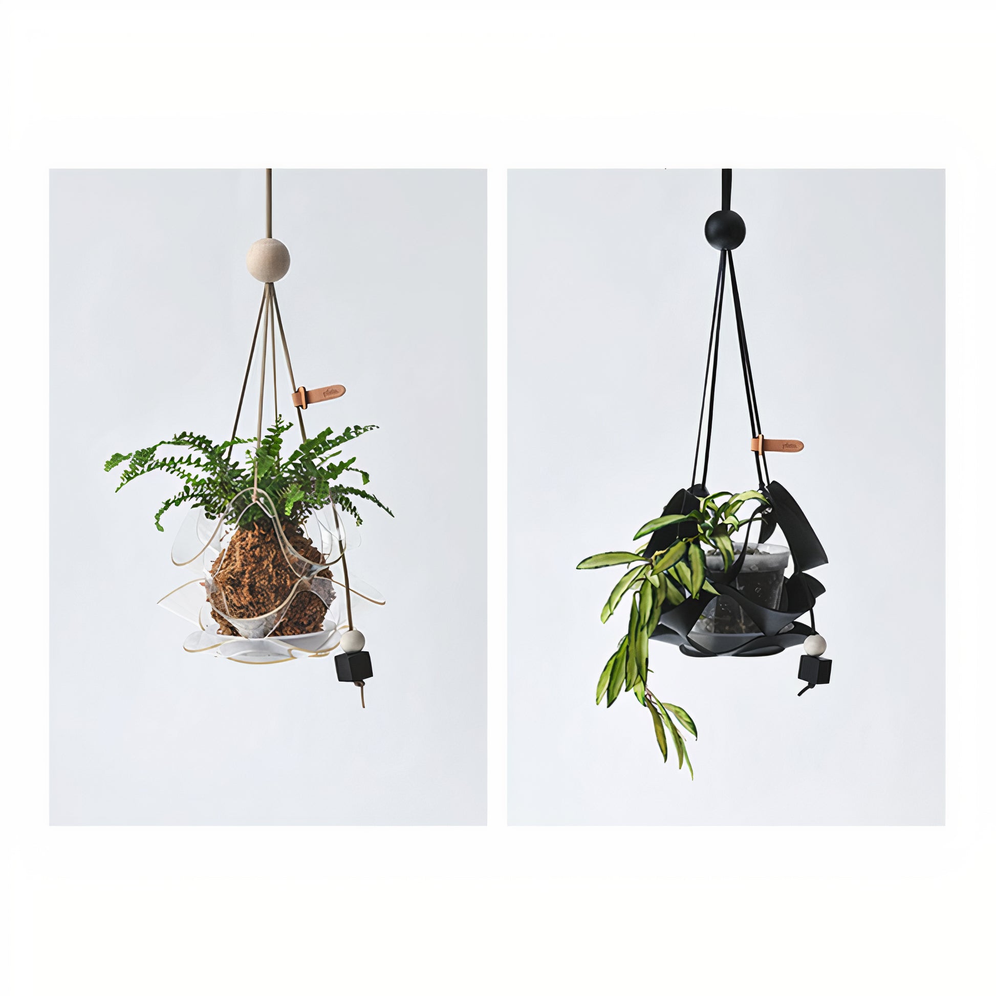 clear plant hanger Geometric Plant Hanger