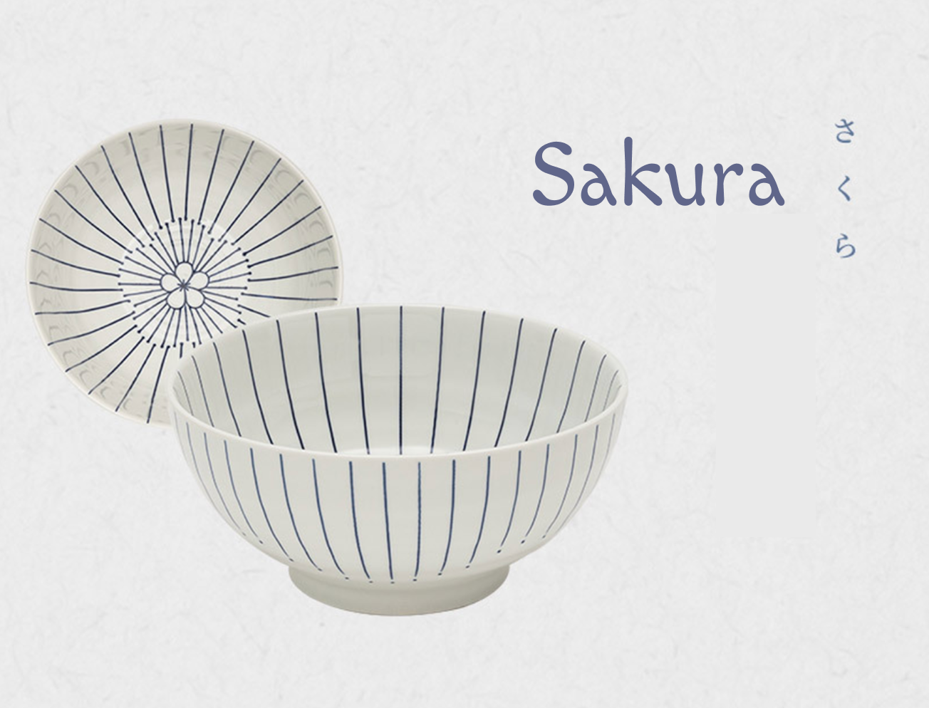 Japanese Noodle Bowl Set of 2