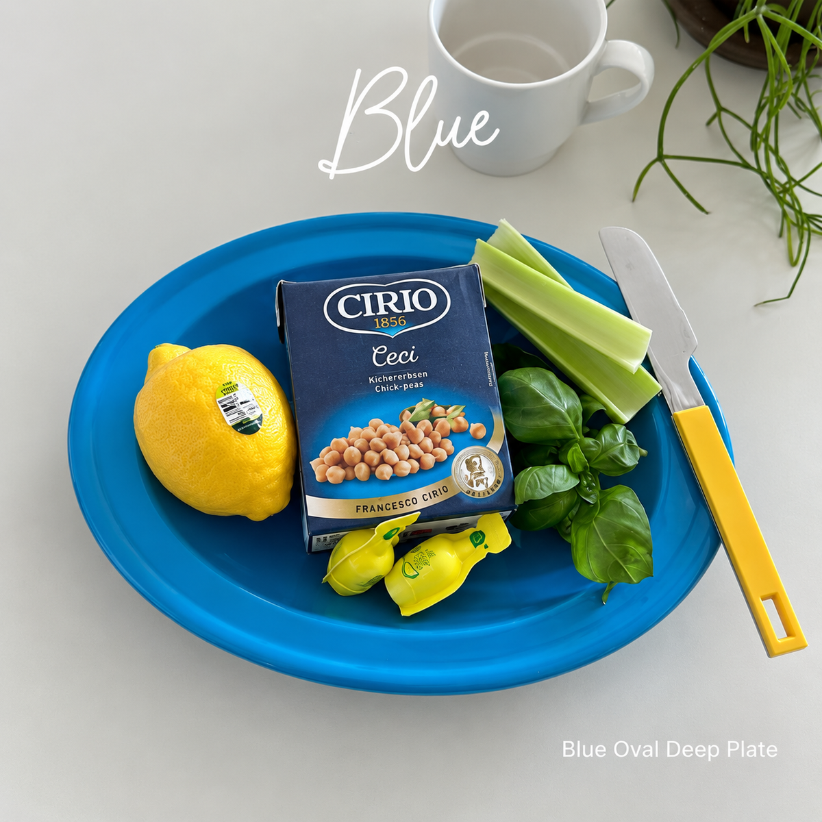Vivid Color Oval Deep Plate