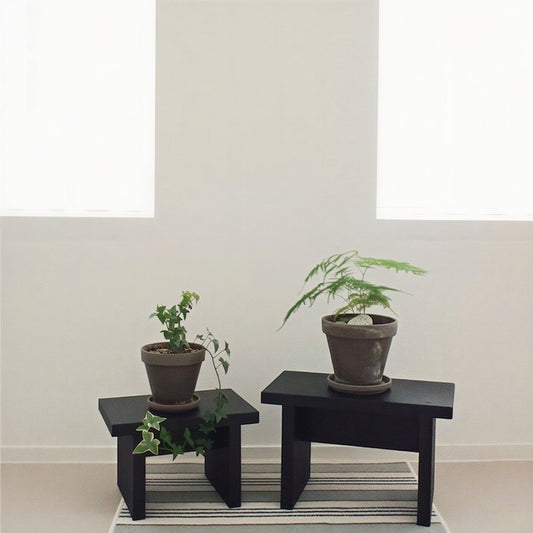 Rectangular Wood Mini Plant Stand