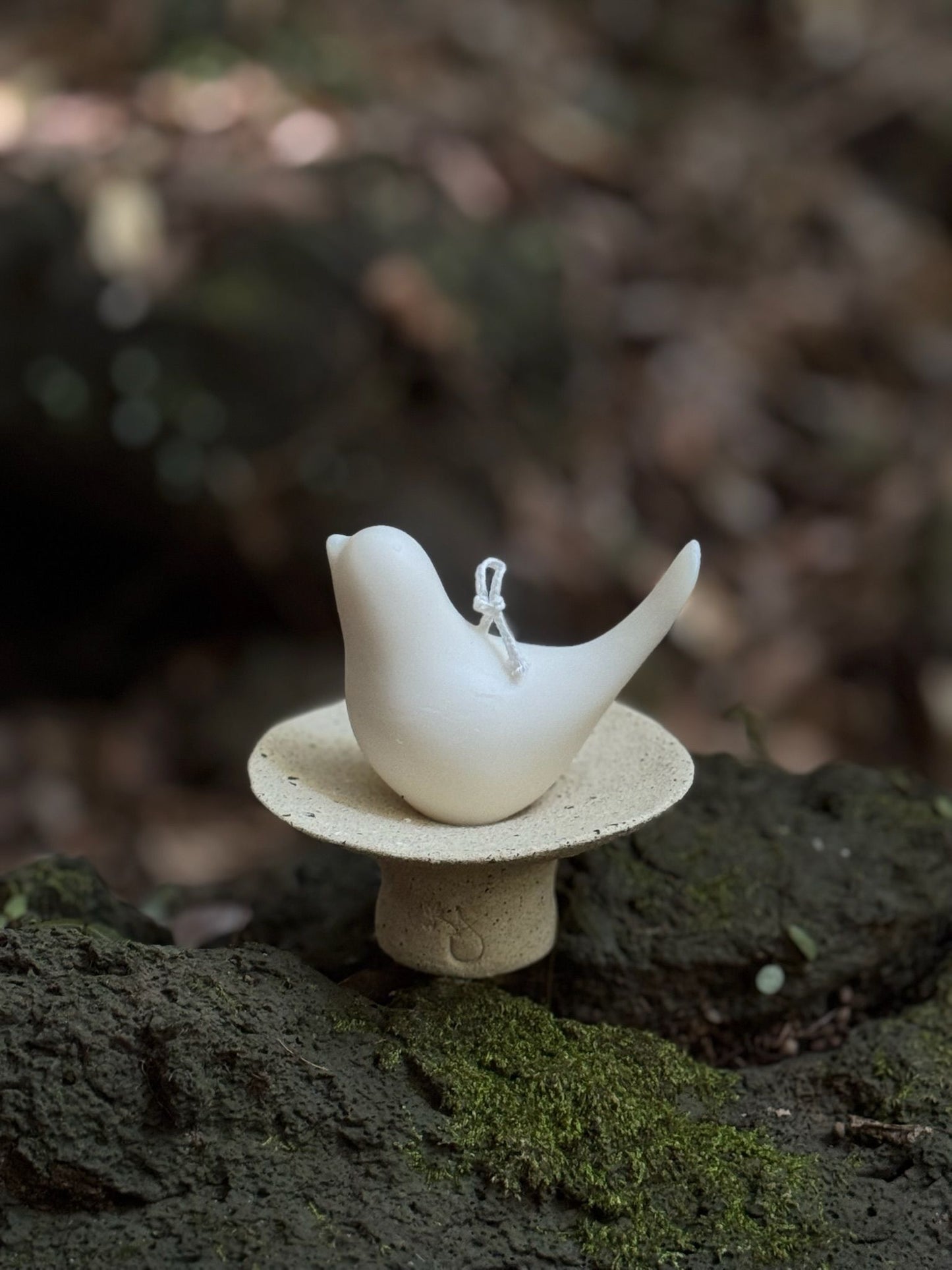 Bird Candle & Shell Tray Gift Set