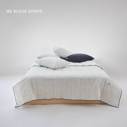 Morning Cost Cotton Seersucker Summer Comforter and Pillowcase Set