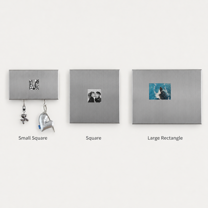Stainless Steel Magnetic Archive Frame