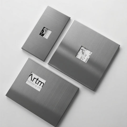 Stainless Steel Magnetic Archive Frame
