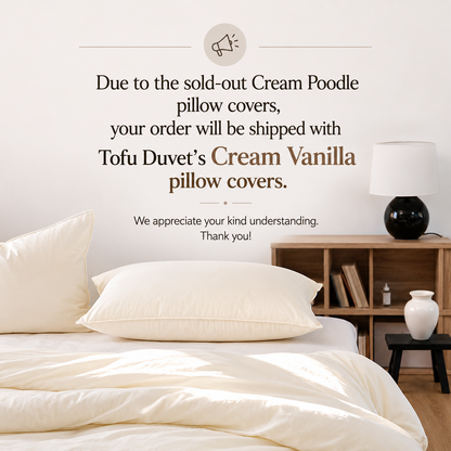 Soft Cream Peach Comforter & Pillow Set